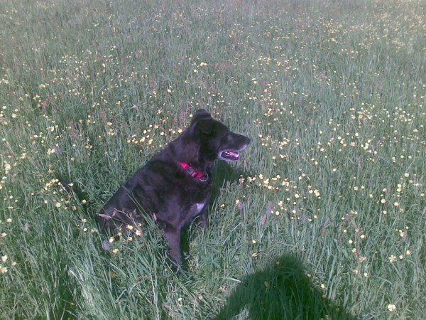 med_Bella Figura.jpg (600 x 450)